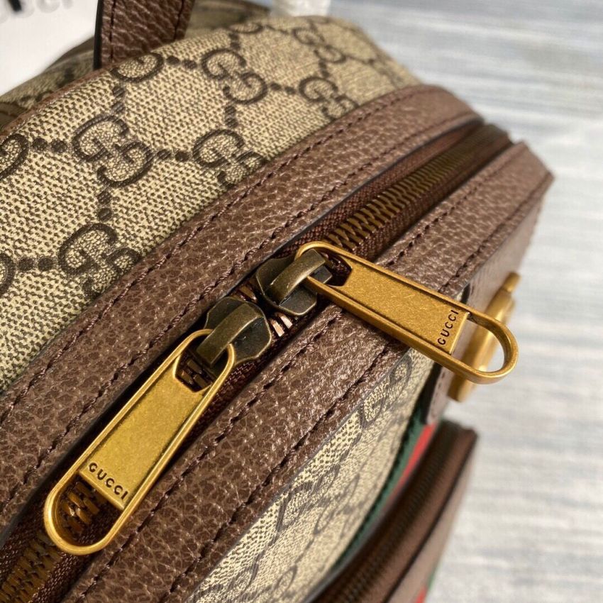 Gvc*1 Ophidia Small Backpack